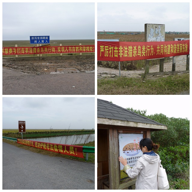 拼图.jpg
