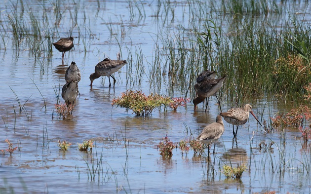 7C9A4841 - 副本.JPG 7C9A4841 - 副本.JPG